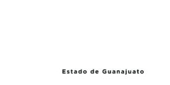 Verificación Vehicular Gto